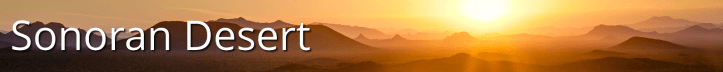 sonoran
